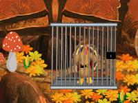 play Anxious Turkey Escape