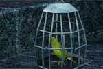 play Escape Game: Ancient Castle 3