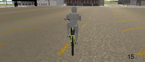 play Bicycle Simulator