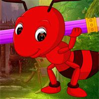 play Writing Ant Rescue