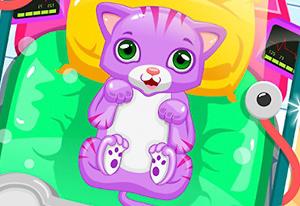 play Princess Girl Cat Doctor