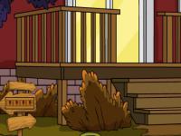 play Cute Ostrich Escape