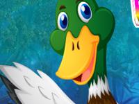 play Mallard Duck Rescue