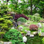 play Alphabet-Garden