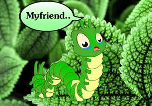 play Wonder Worm Leaf Forest Escape