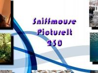 play Pictureit 230