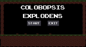 play Colobopsis Explodens
