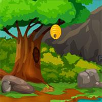 play Knfgames-Rescue-The-Forest-Hog