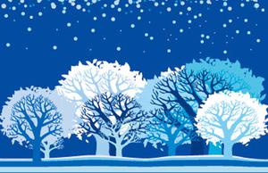 Amajeto Blue Winter