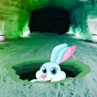 Ice Cave Bunny Rescue