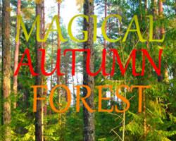 play Magical Autumn Forest