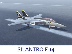 play Silantro F-14 Tomcat Demonstrator