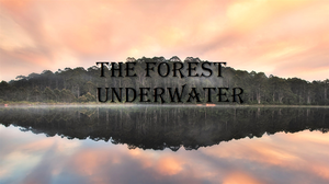 play The Forest Underwater