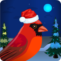 Christmas Red Cardinal Escape