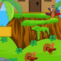 play Turkey Forest Escape 2018