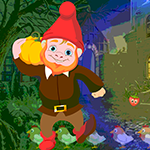 play Gnome Escape