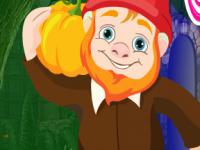 play Gnome Escape