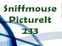 play Pictureit 233