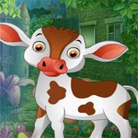 play Bobby Calf Rescue