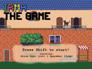 play Irma. The Game (Cat Game)