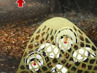 play Escape White Turkey Family