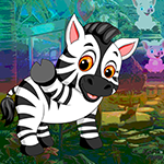 Vivacious Zebra Escape
