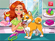 play Jessie'S Shiba Dog