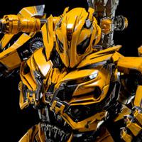 play Bumblebee Hidden Spots
