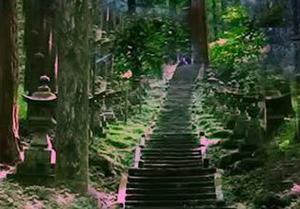 play Adventurous Temple Forest Escape