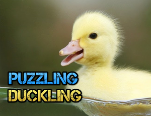 Puzzling Duckling