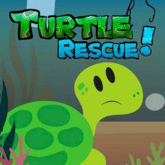 Turtle Rescue!