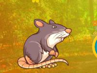 play Mouse Escape