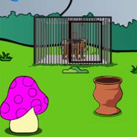 play Bear Rescue Games2Jolly