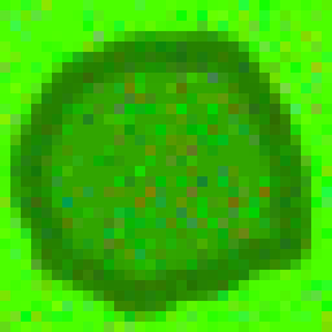 play Cyto
