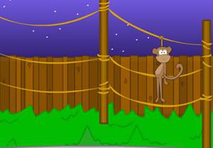play Toon Escape - Zoo