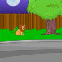 play Sd Toon Escape Zoo