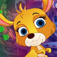 play Happy Kangaroo Rescue