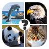 Animals Quiz: Guess The Animal