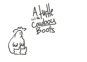 play A Turtle With Cowboy Boots