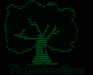 play The Instructions
