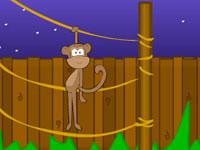 play Toon Escape - Zoo