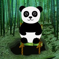play Bamboo Forest Panda Rescue