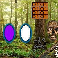 Portal-Forest-Escape