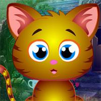play Alley Cat Rescue