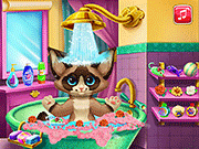play Kitten Bath