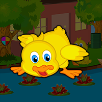 play Cute Duckling Bird Escape