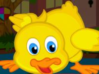 play Cute Duckling Bird Escape