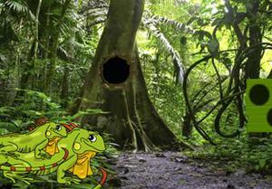 play Iguana Forest Escape