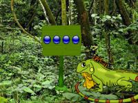 play Iguana Forest Escape