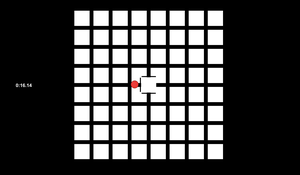 play Birdboxmaze